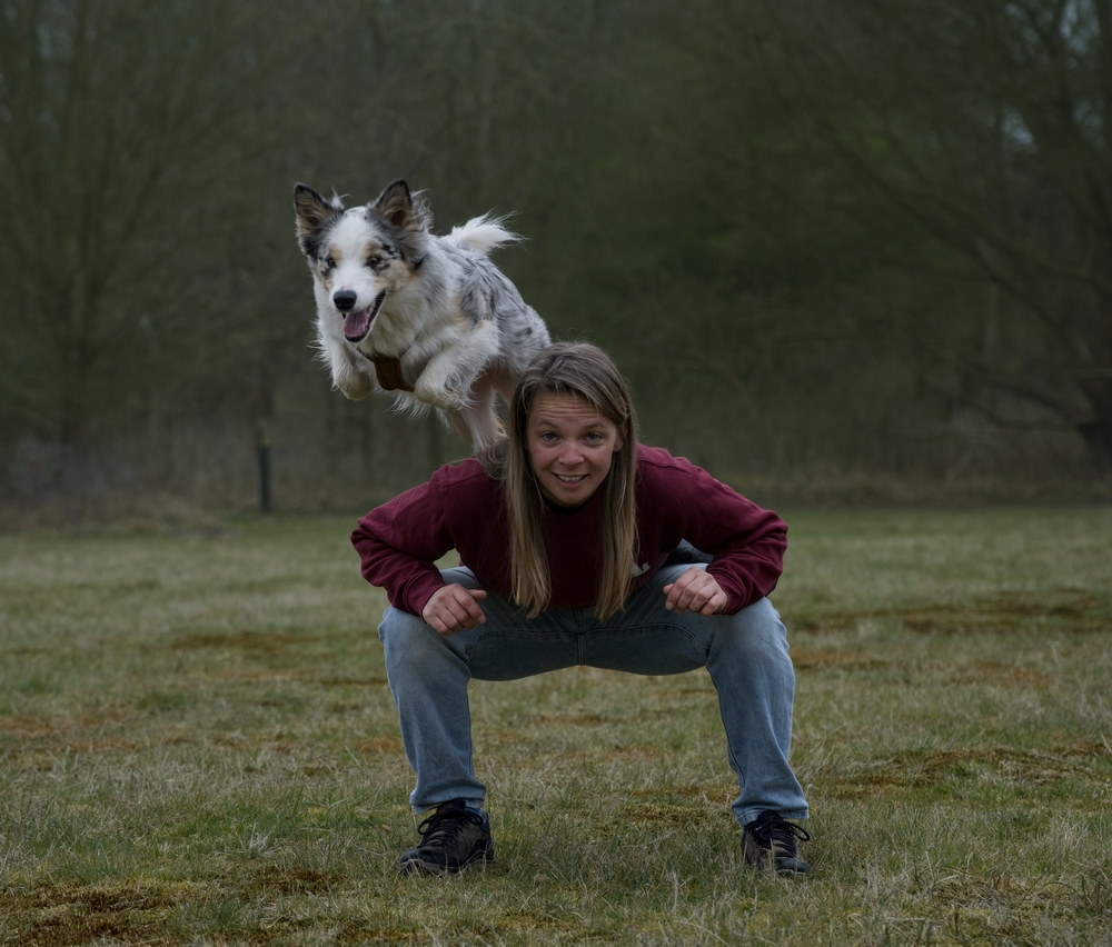 Hondentraining-Hondenschool-Puppycursus-Regio-Leiden-zomerlessen