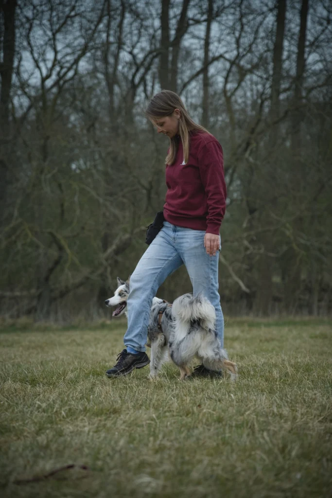 Hondentraining-Hondenschool-Puppycursus-Regio-Leiden-zomerlessen